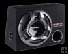 Subwoofer Pioneer TS-WX303 Subwoofer Pioneer TS-WX303